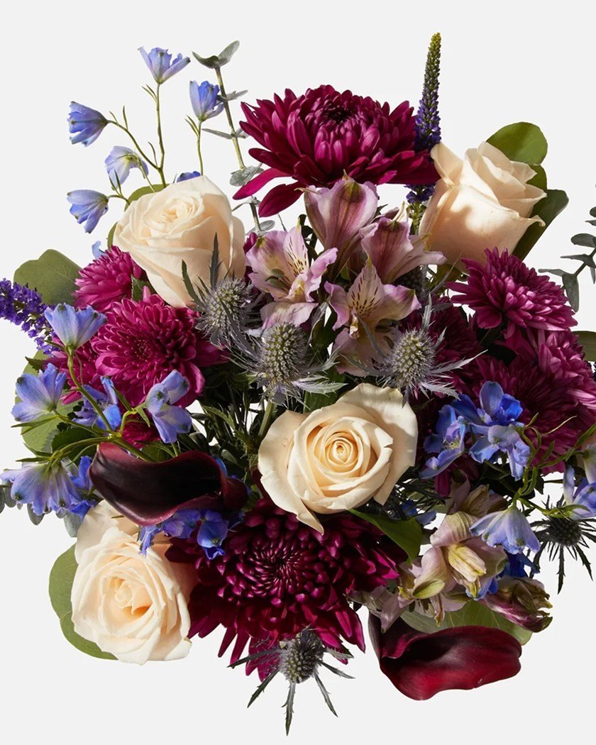 product-12 product-12