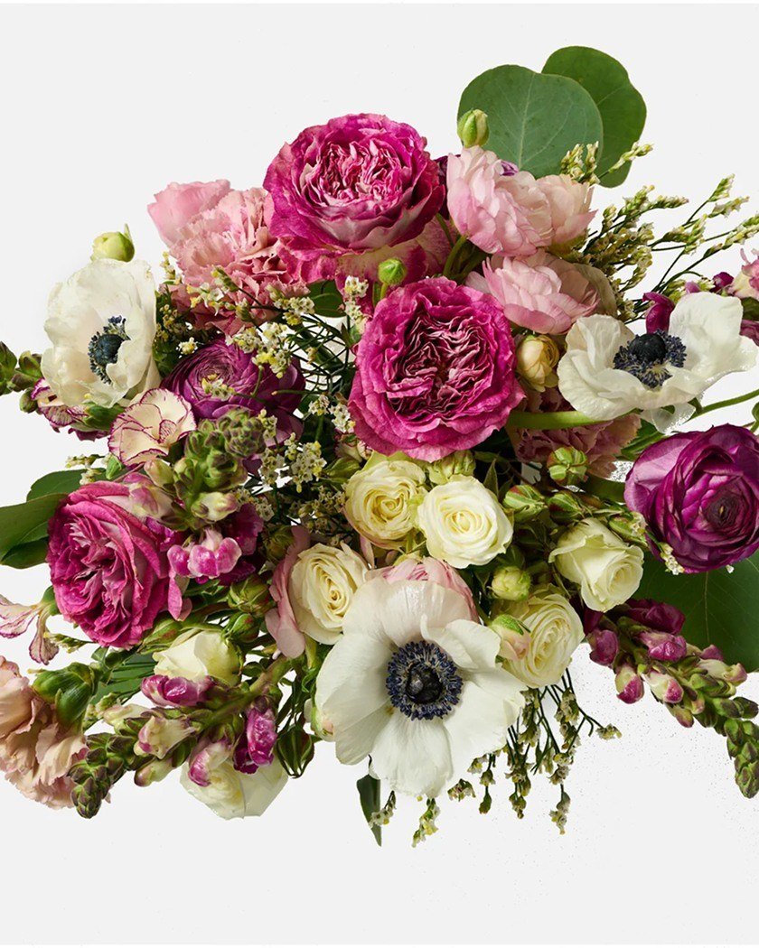 product-20 product-20