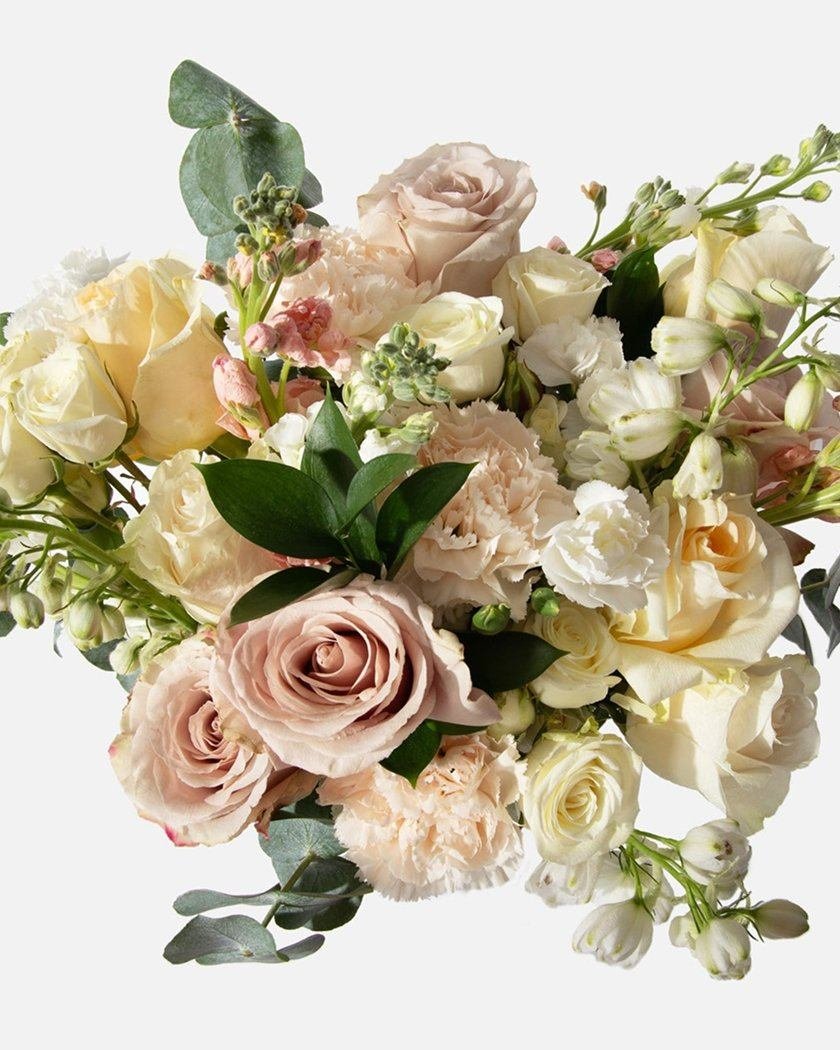 product-22 product-22