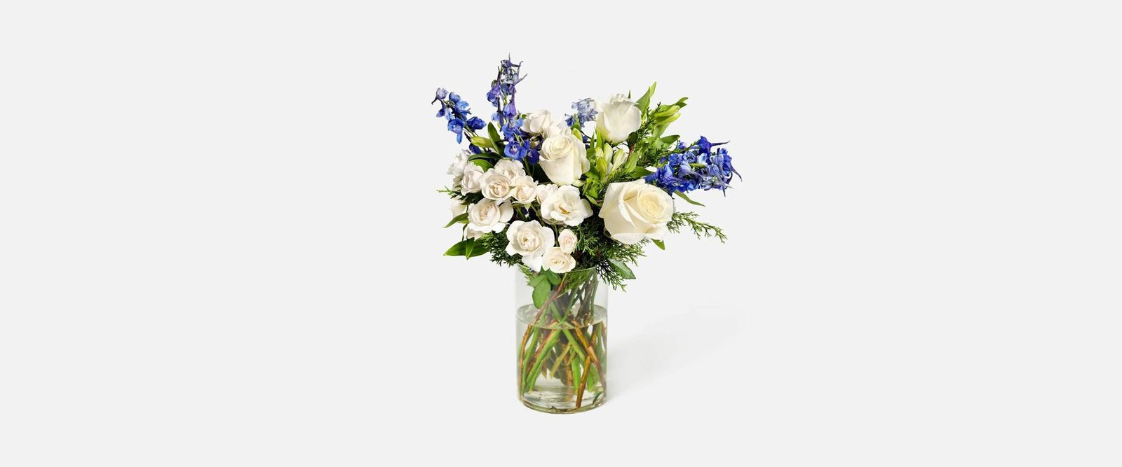 product-43 product-43