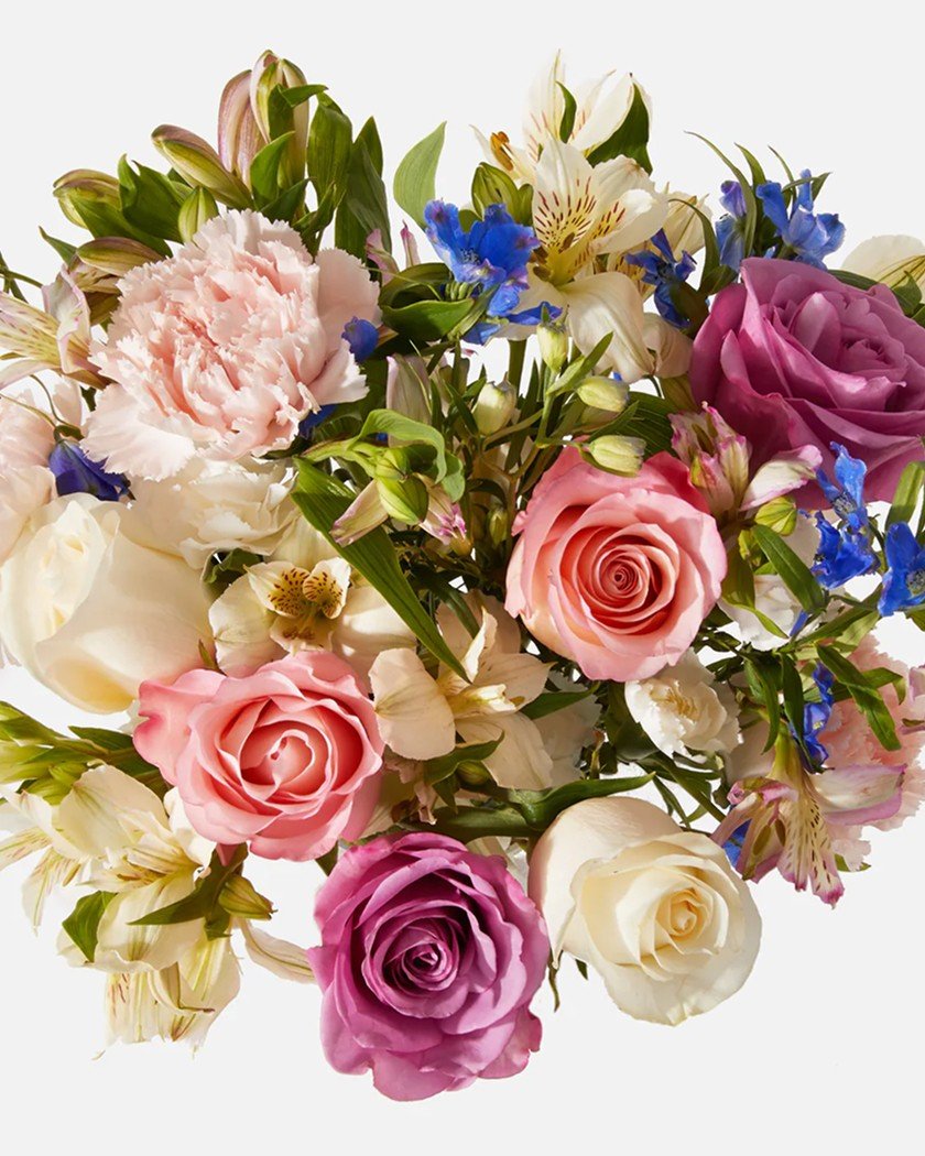 product-10 product-10