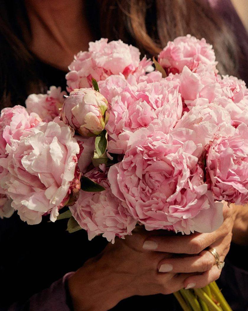 product-25 product-25