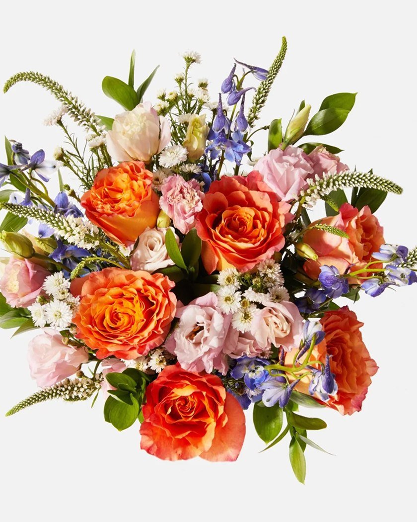 product-18 product-18