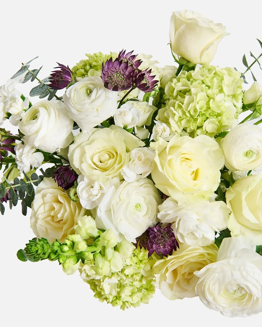 product-36 product-36